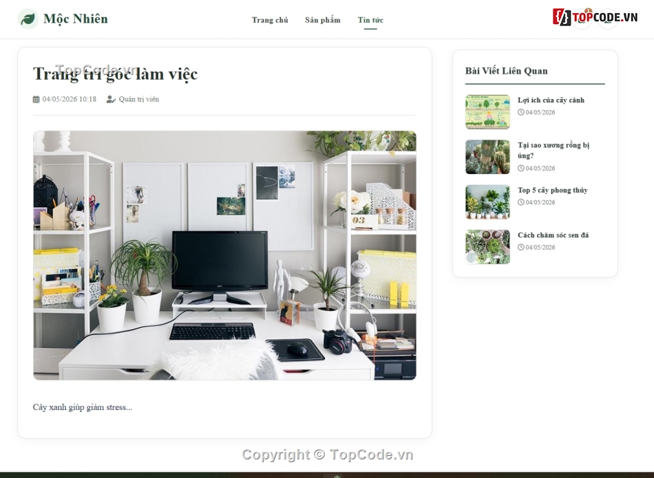 bán cây cảnh,cây cảnh,bán